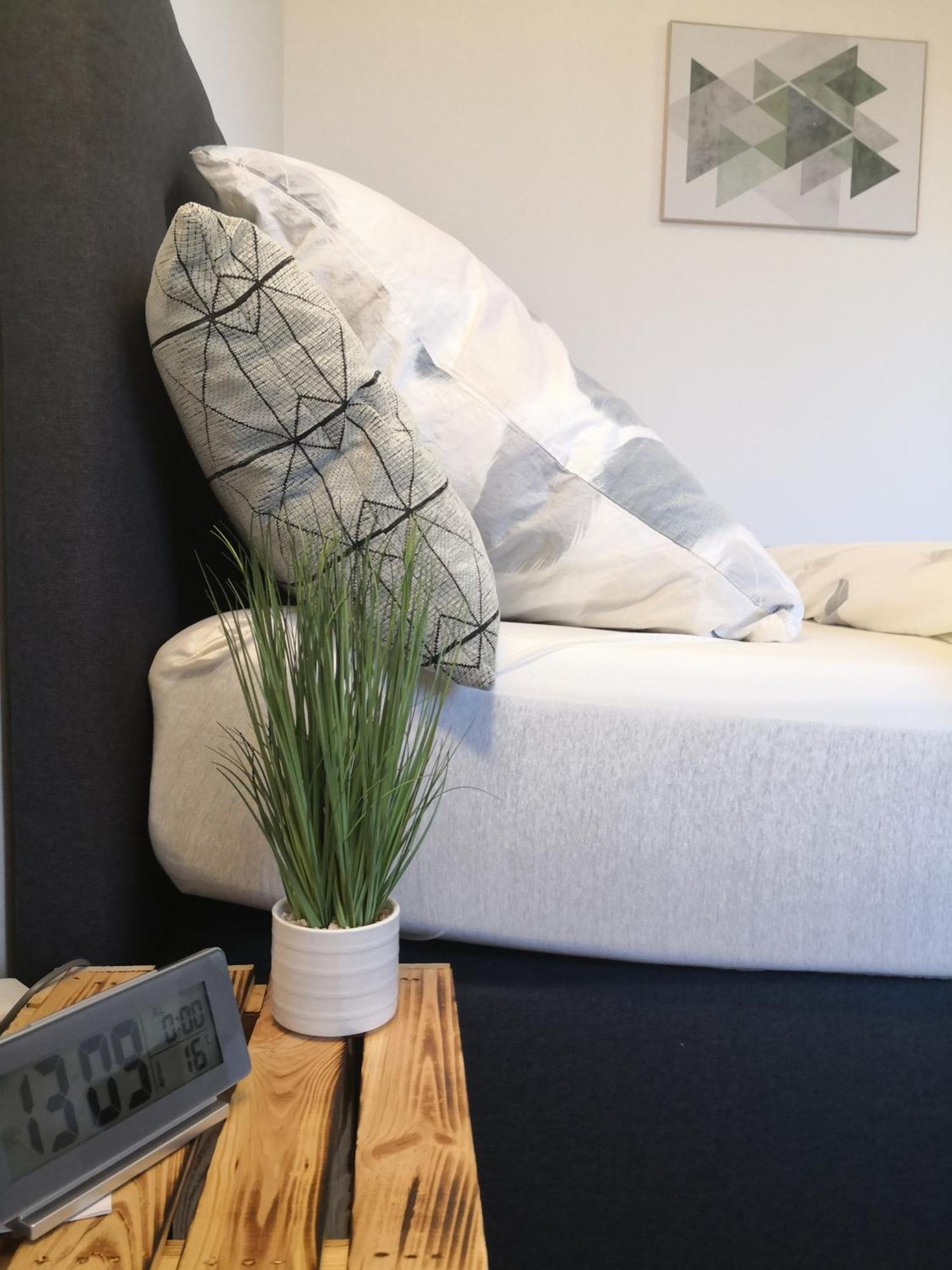 Exklusives Apartment Zw. Lu Und Speyer Mit Aufzug Neuhofen Dış mekan fotoğraf